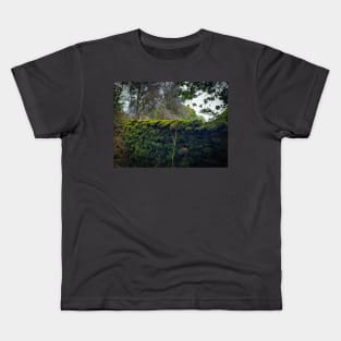 Lake District Wall Kids T-Shirt